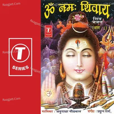 Om Namah Shivay Poster