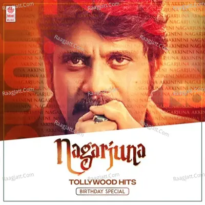 Nagarjuna Tollywood Hits - Birthday Special Poster