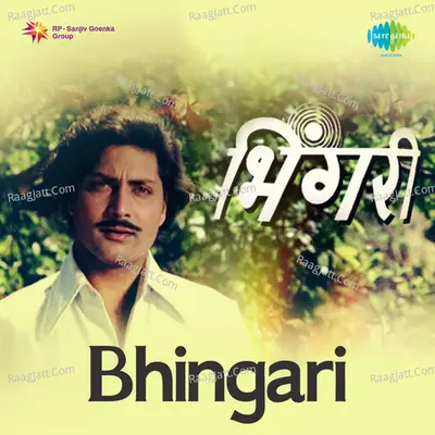 Bhingari Mar Poster