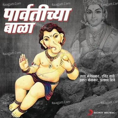 Parvatichya Bala Poster