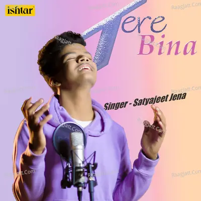 Tere Bina