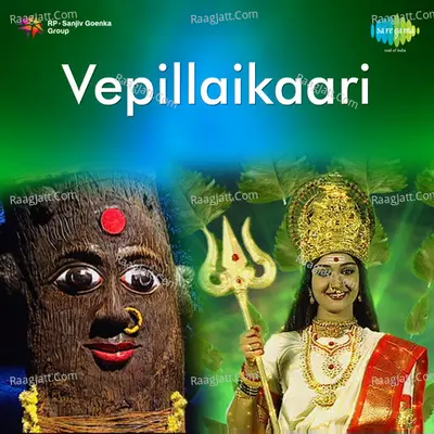Vepillaikaari - T.V. Serial Cover