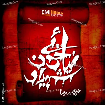Zia-E-Khoon-E-Shaheedan Poster