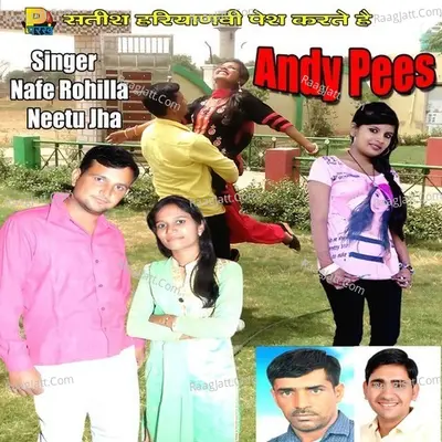 Andy Pees Cover