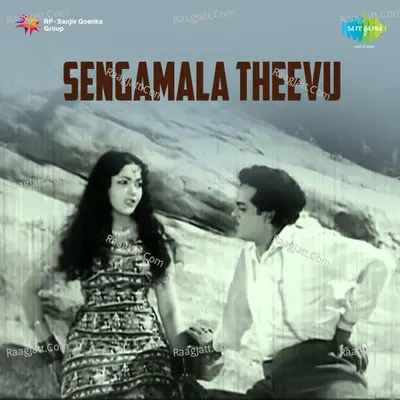 Sengamala Theevu - T.M. Soundararajan