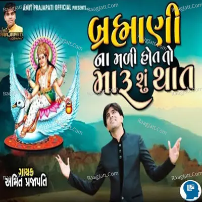 Brahmani Na Mali Hot To Maru Su That Cover