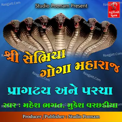 Sebhariya Goga Maharaj Pragatya Ane Parcha Poster