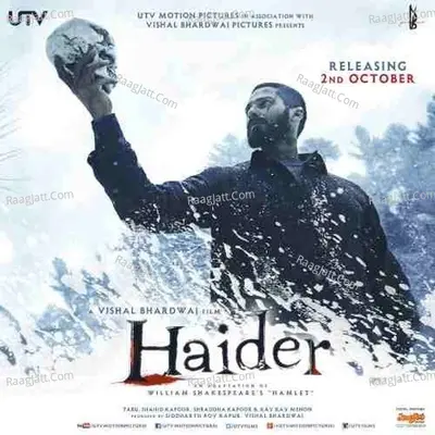 Haider Poster