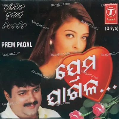 Prem Pagal - Anil Bawra