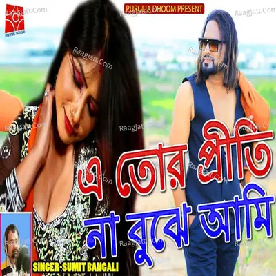 E Tor Priti Na Bujhe Aami Cover