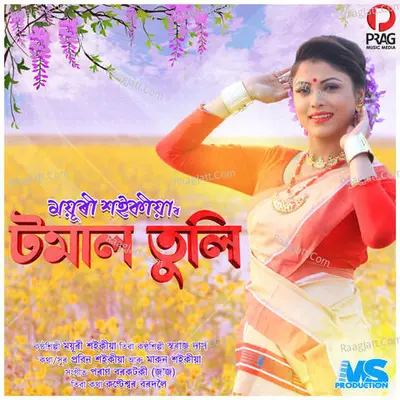 Tomal Tuli Cover