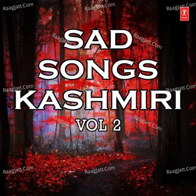 Sad Songs - Kashmiri Vol-2 Poster