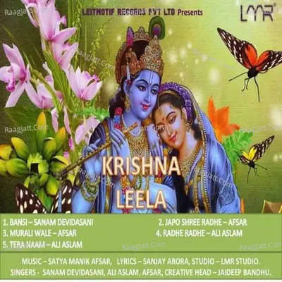 Krishna Leela Poster