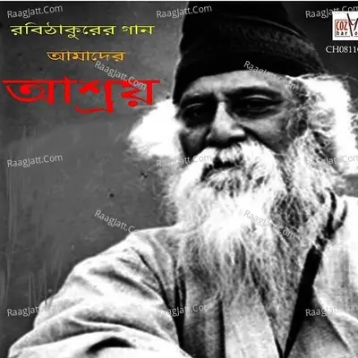 Ashroy Poster