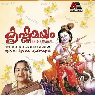 Krishnamayam - K.Krishna Kumar