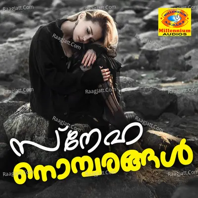Sneha Nombarangal Poster