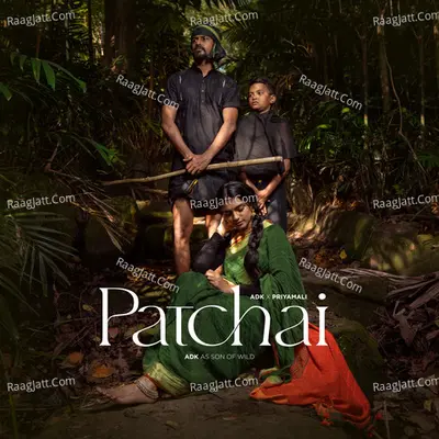 Patchai Cover