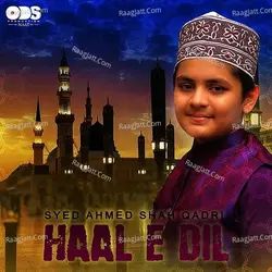 Haal E Dil - Single