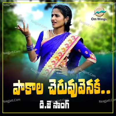 Pakala Cheruvu Venuka Dj Sonng