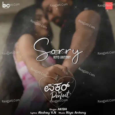 Sorry (From "Picture Perfect")