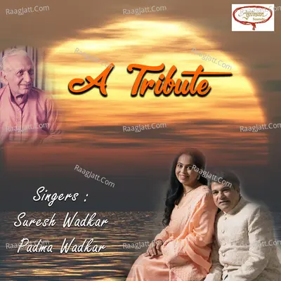 A Tribute Cover