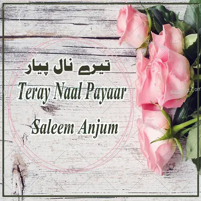 Teray Naal Payaar - Saleem Anjum
