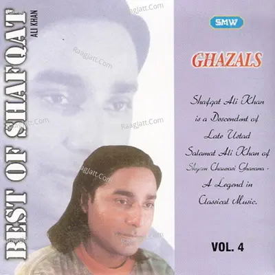 Best Of Shafqat Ali Khan Vol 4 Poster