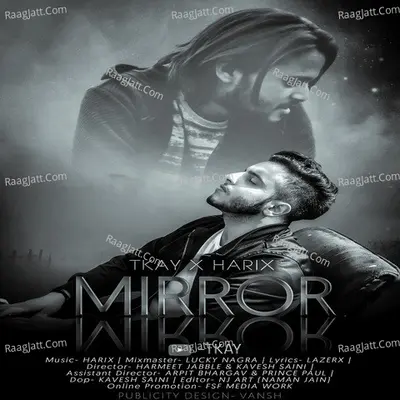 Mirror Cover