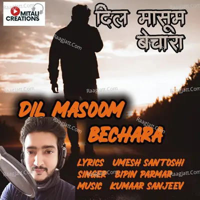Bipin Parmar Image