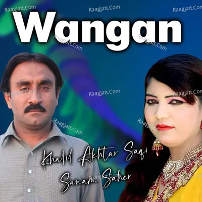 Sanam Saher Image