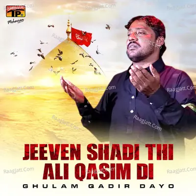 Jeeven Shadi Thi Ali Qasim Di Poster