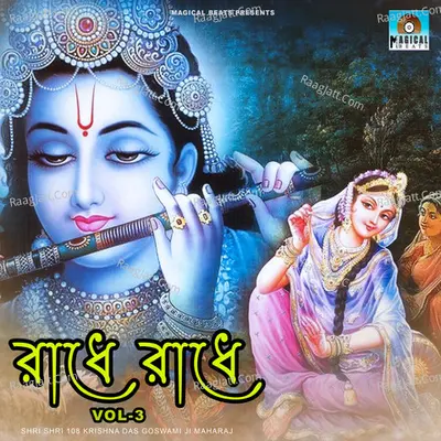 Shri Shri 108 Krishna Das Goswami Ji Maharaj