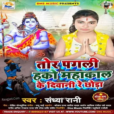 To Pagli Hako Mahakal Ke Diwani Re Chhoda Cover