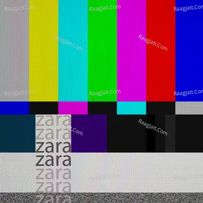 Zara Zara Cover
