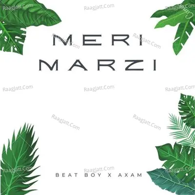 Meri Marzi