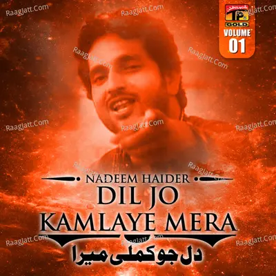 Dil Jo Kamlaye Mera, Vol. 1 Poster