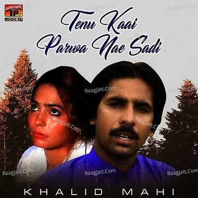 Tenu Kaai Parwa Nae Sadi - Single Cover