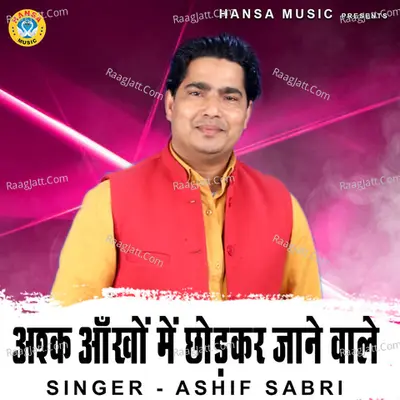 Ashq Ankhon Mein Chhor Kar Jaane Wale Cover