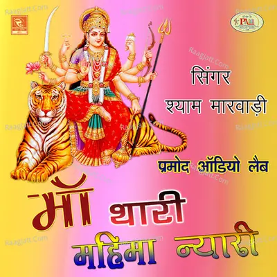 Maa Thari Mahima Nyari Poster