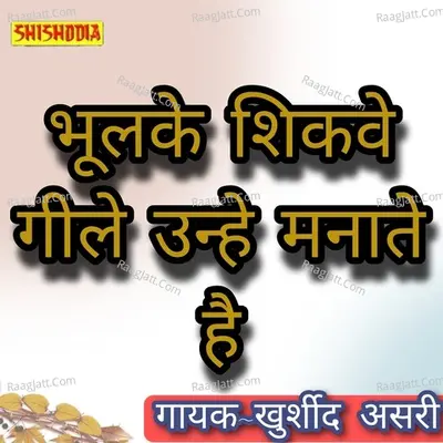 Bhula ke shikve gile unhen manate hain