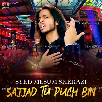 Sajjad Tu Puch Bin - Single