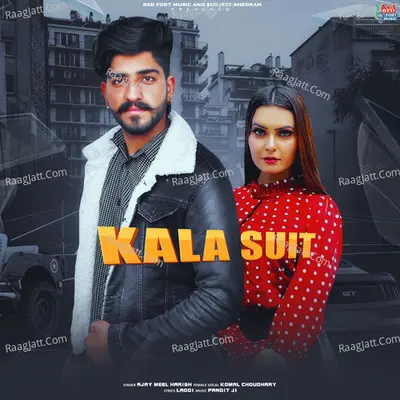 Ajay Meel Harish Image