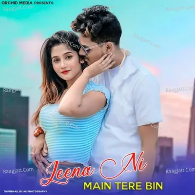 Jeena Ni Main Tere Bin Cover