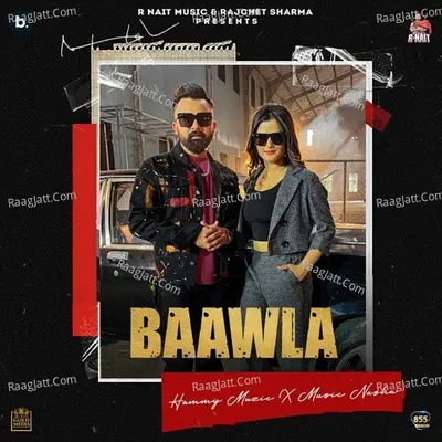 Baawla Cover