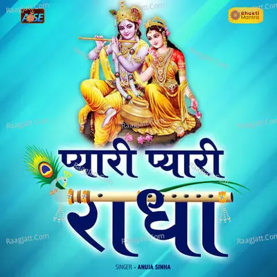 Pyari Pyari Radha Cover