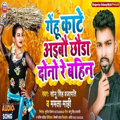 Sonu Singh Prajapati Image