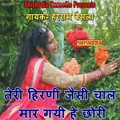 Teri Hirni Jaisi Chaal Mar Gayi Cover