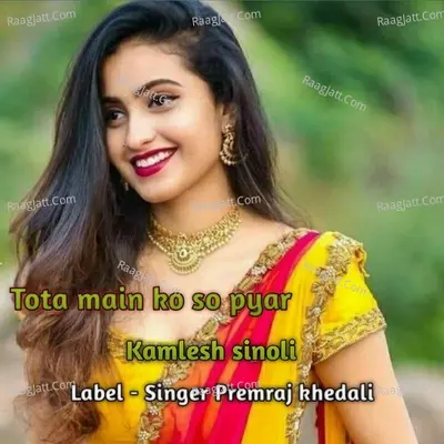 Kamlesh Sinoli Image