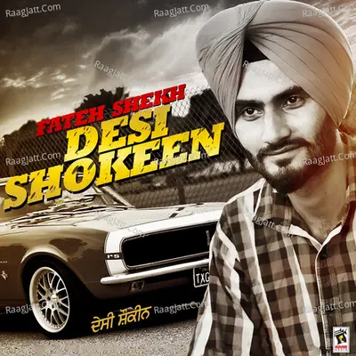 Desi Shokeen