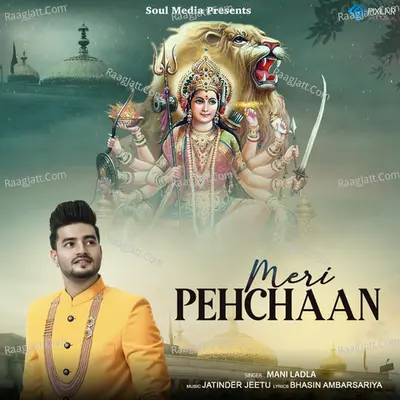 Meri Pehchaan Cover
